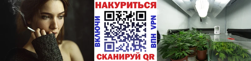 Шишки марихуана план  площадка телеграм  kraken онион  Белозерск  закладка 